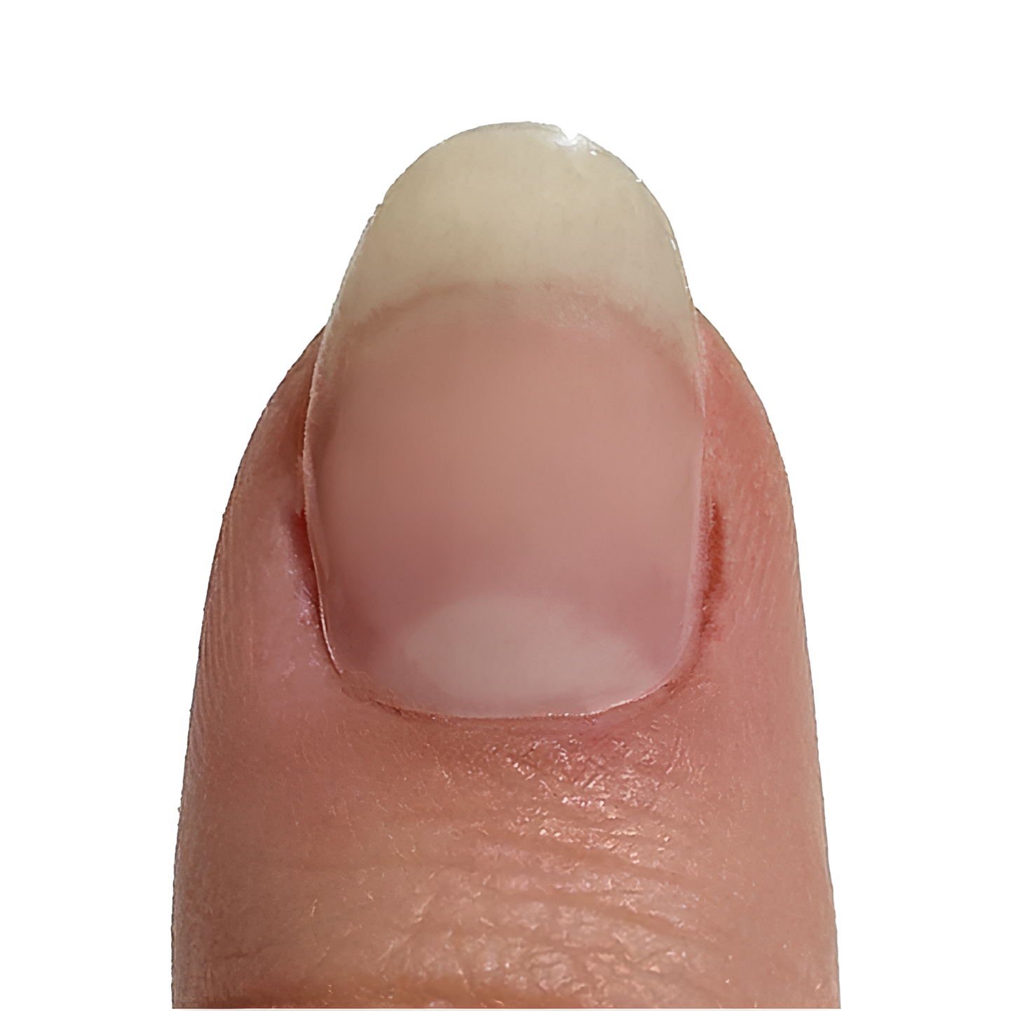 Transparant - Gel Nail Strip